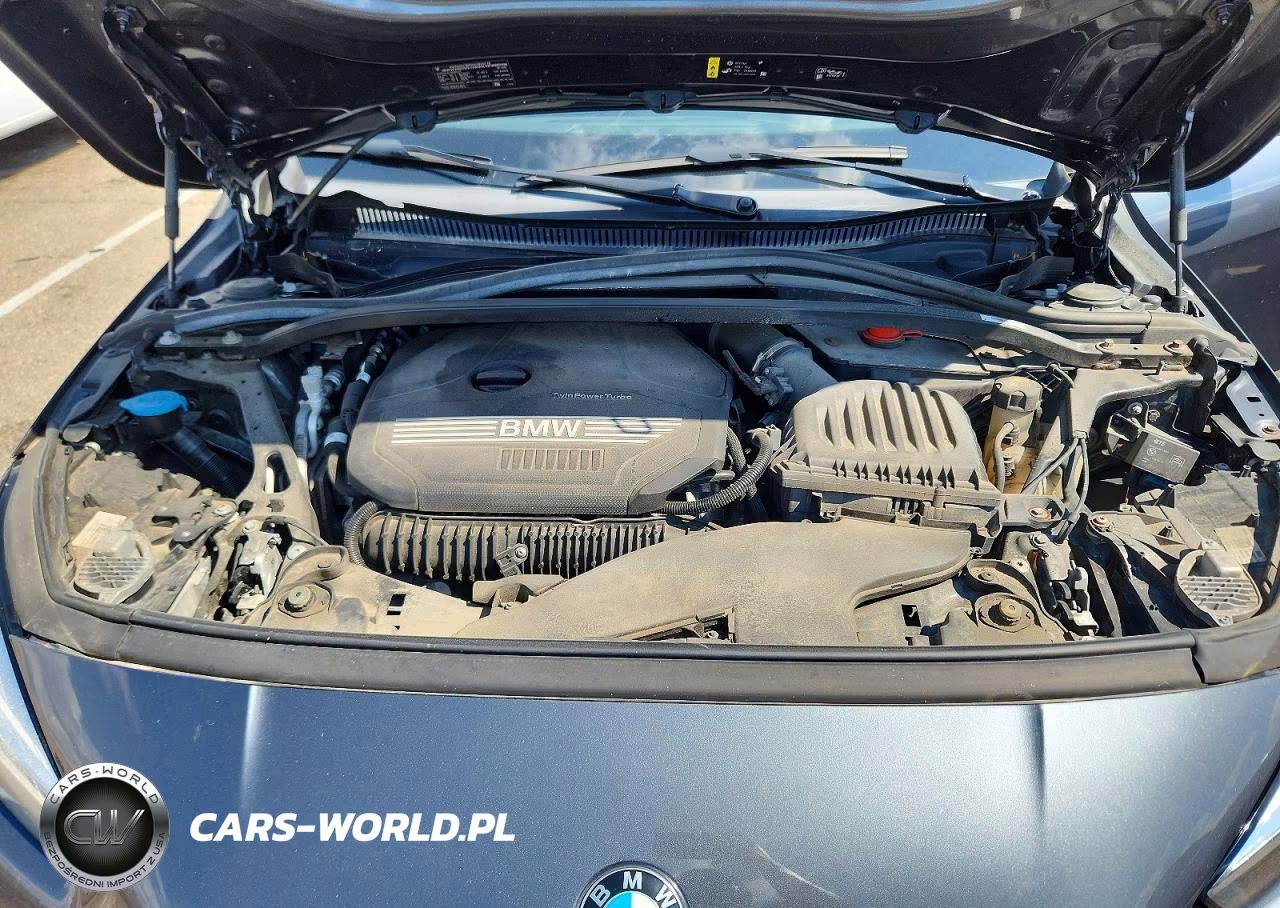 2020 BMW 228Xi VIN:WBA73AK03L7G03206 - 11