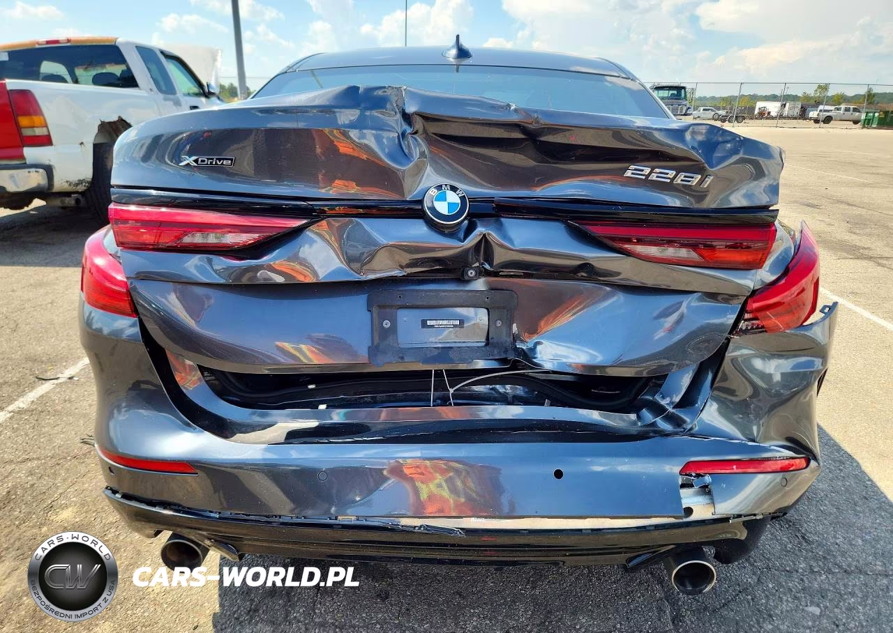 2020 BMW 228Xi VIN:WBA73AK03L7G03206 - 6