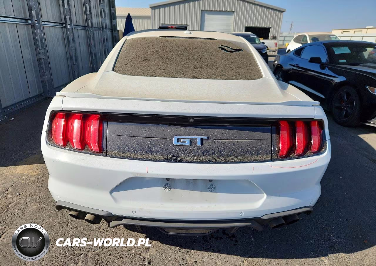 2020 Ford Mustang Gt VIN:1FA6P8CF0L5103260 - 6