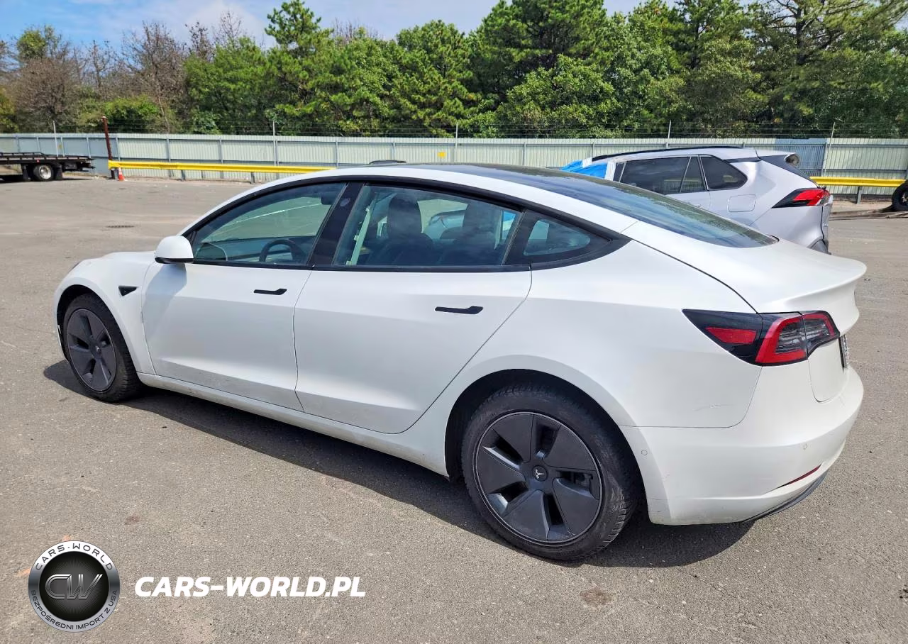 2021 Tesla Model 3 VIN:5YJ3E1EA0MF851972 - 2