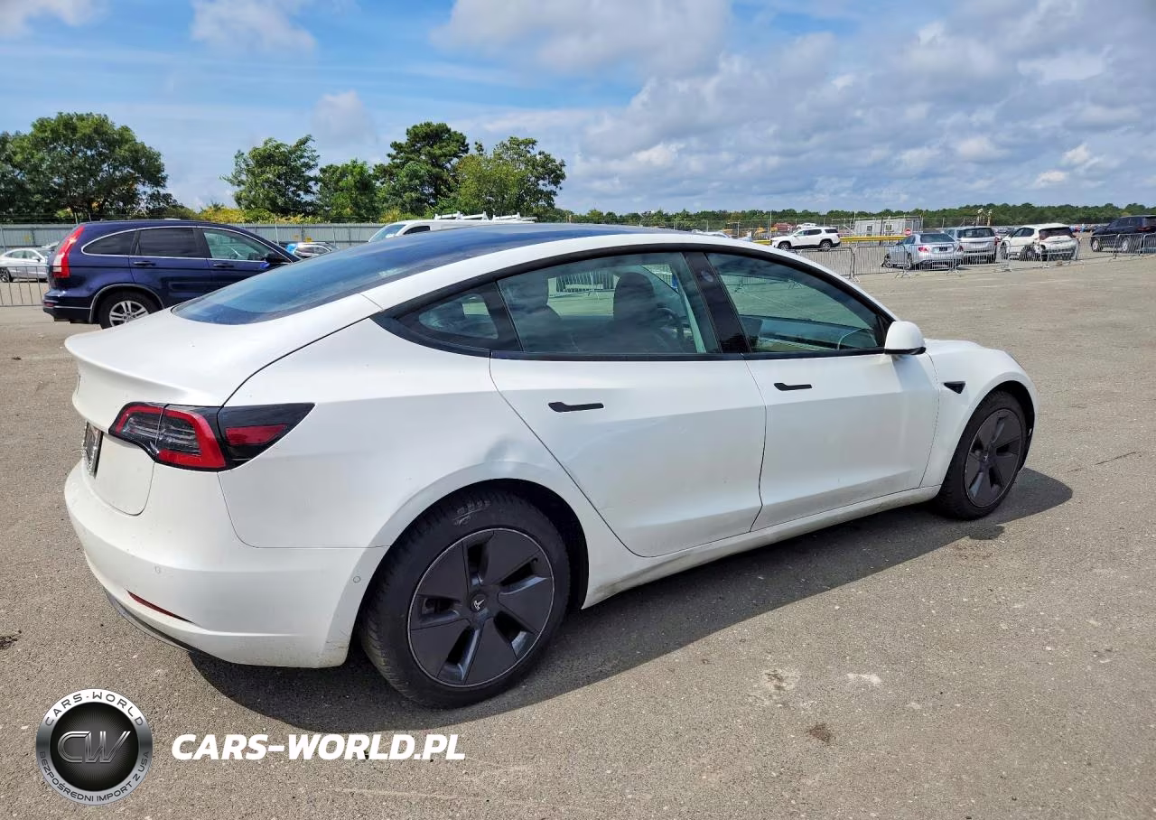 2021 Tesla Model 3 VIN:5YJ3E1EA0MF851972 - 3