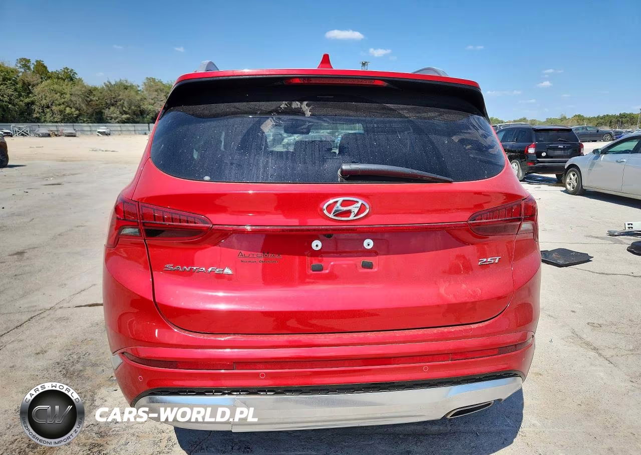 2023 Hyundai Santa Fe Calligraphy VIN:5NMS54AL9PH542590 - 6