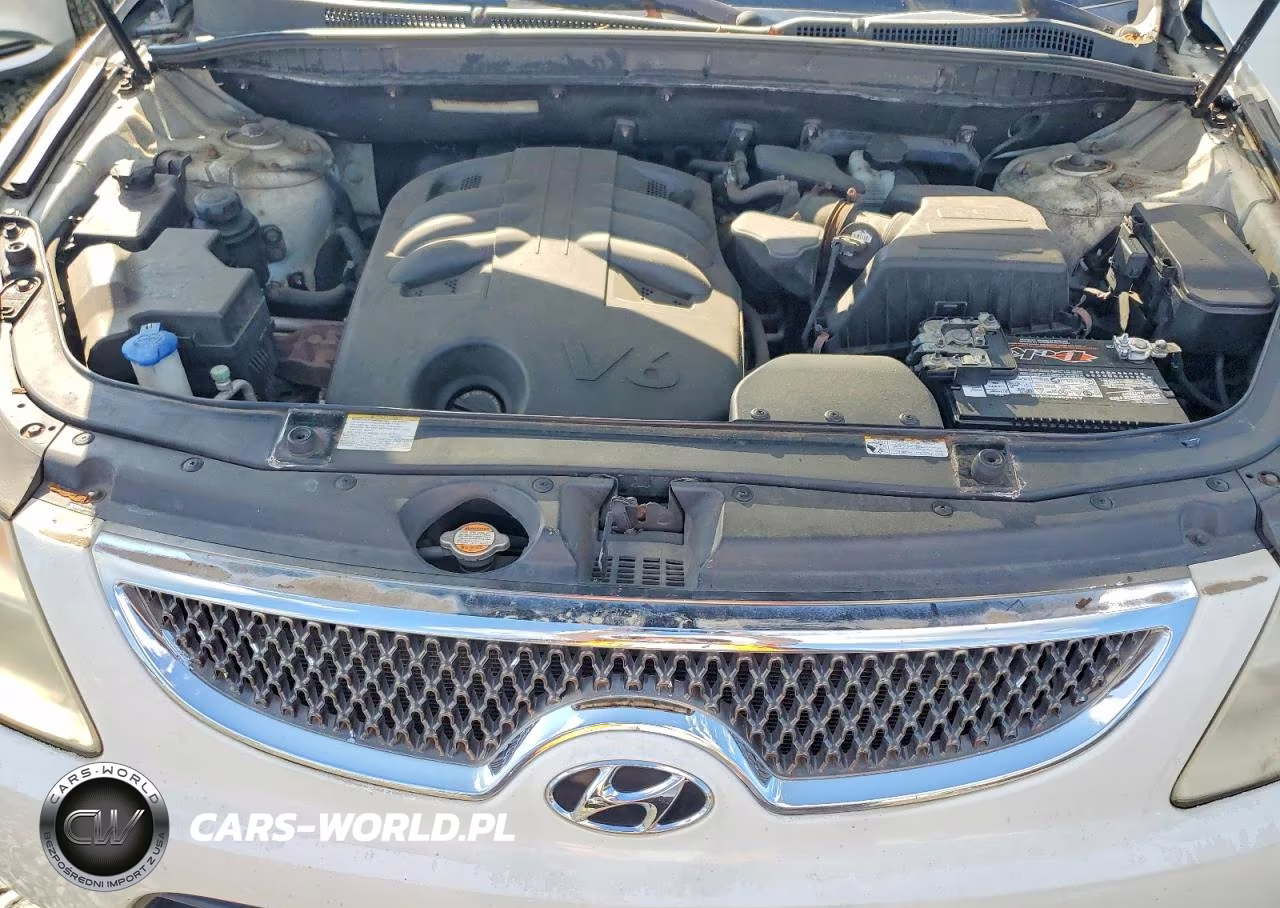 2010 Hyundai Veracruz Gls VIN:KM8NU4CC9AU103804 - 12