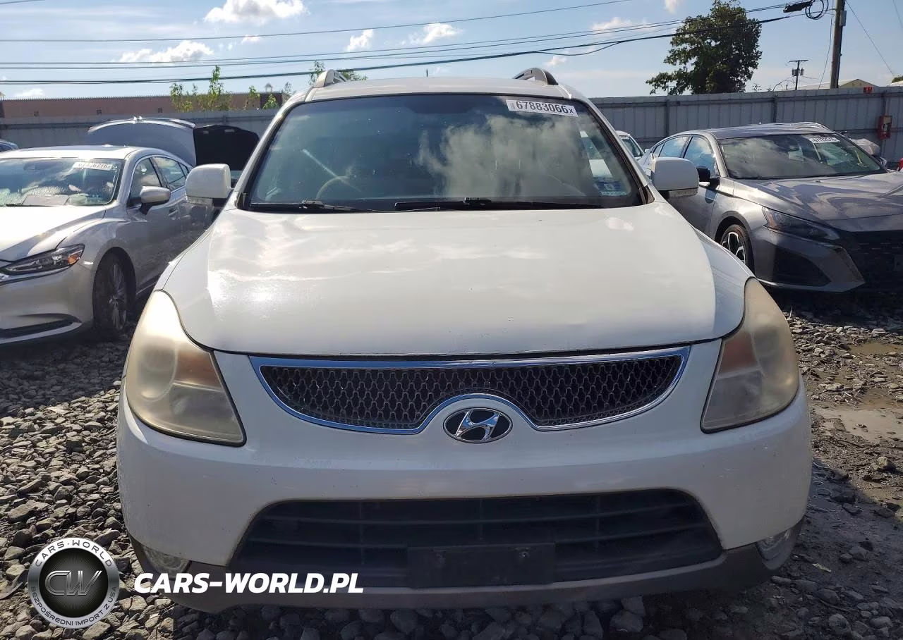2010 Hyundai Veracruz Gls VIN:KM8NU4CC9AU103804 - 5
