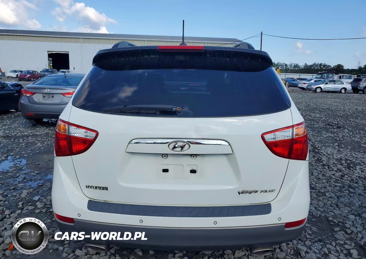 2010 Hyundai Veracruz Gls VIN:KM8NU4CC9AU103804 - 6