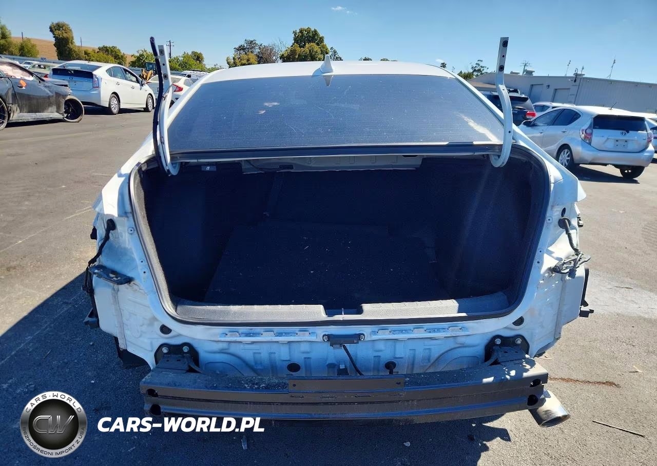 2024 Honda Civic Sport VIN:2HGFE2F54RH531318 - 6