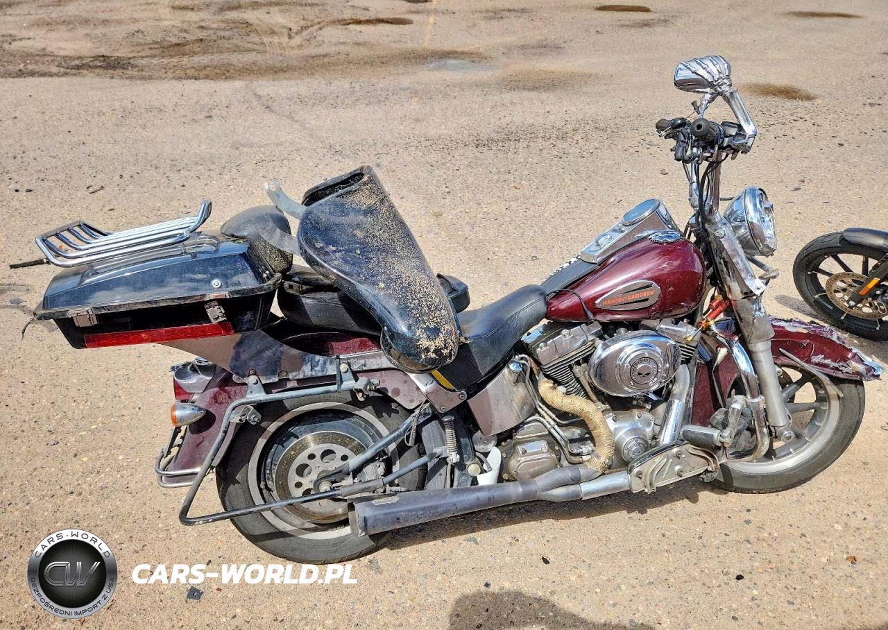 2004 Harley-Davidson Flstci VIN:1HD1BWB314Y086692 - 1