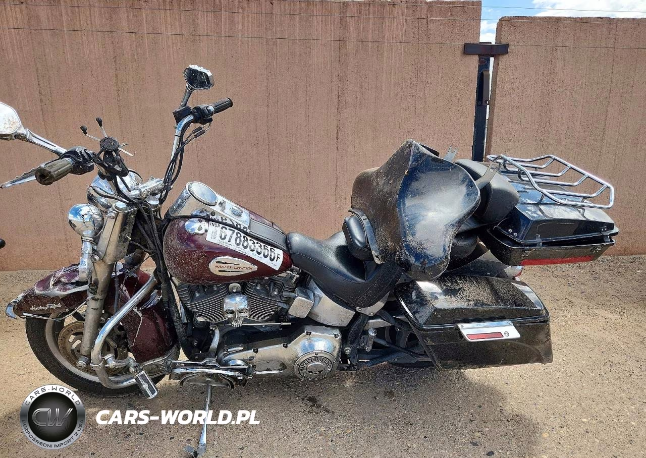 2004 Harley-Davidson Flstci VIN:1HD1BWB314Y086692 - 3