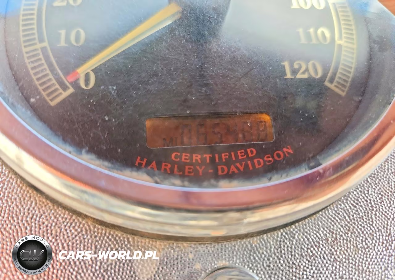 2004 Harley-Davidson Flstci VIN:1HD1BWB314Y086692 - 7