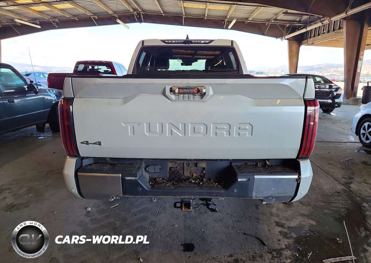 2022 Toyota Tundra Crewmax Limited VIN:5TFJA5DB7NX013272 - 6