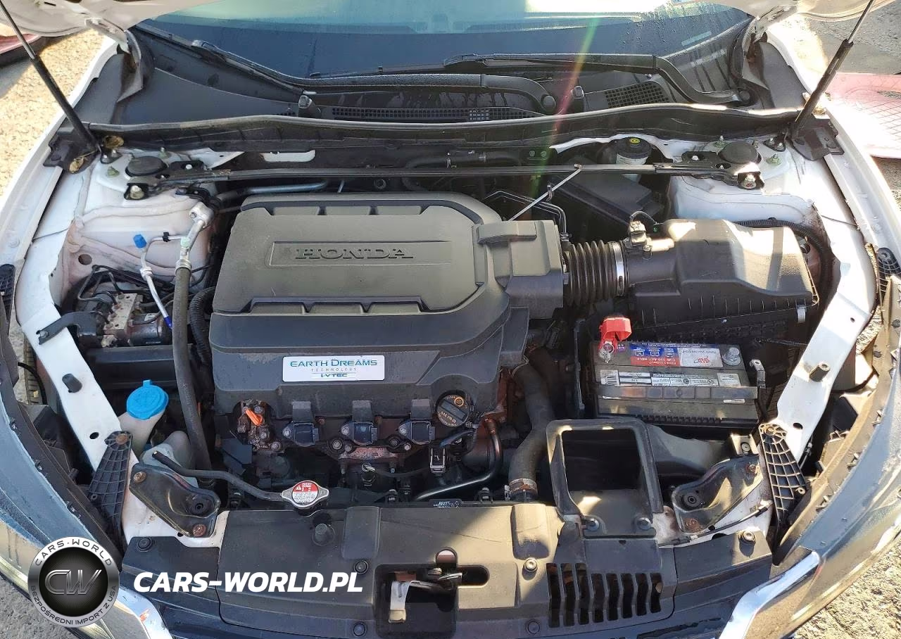2013 Honda Accord Exl VIN:1HGCR3F88DA021617 - 11