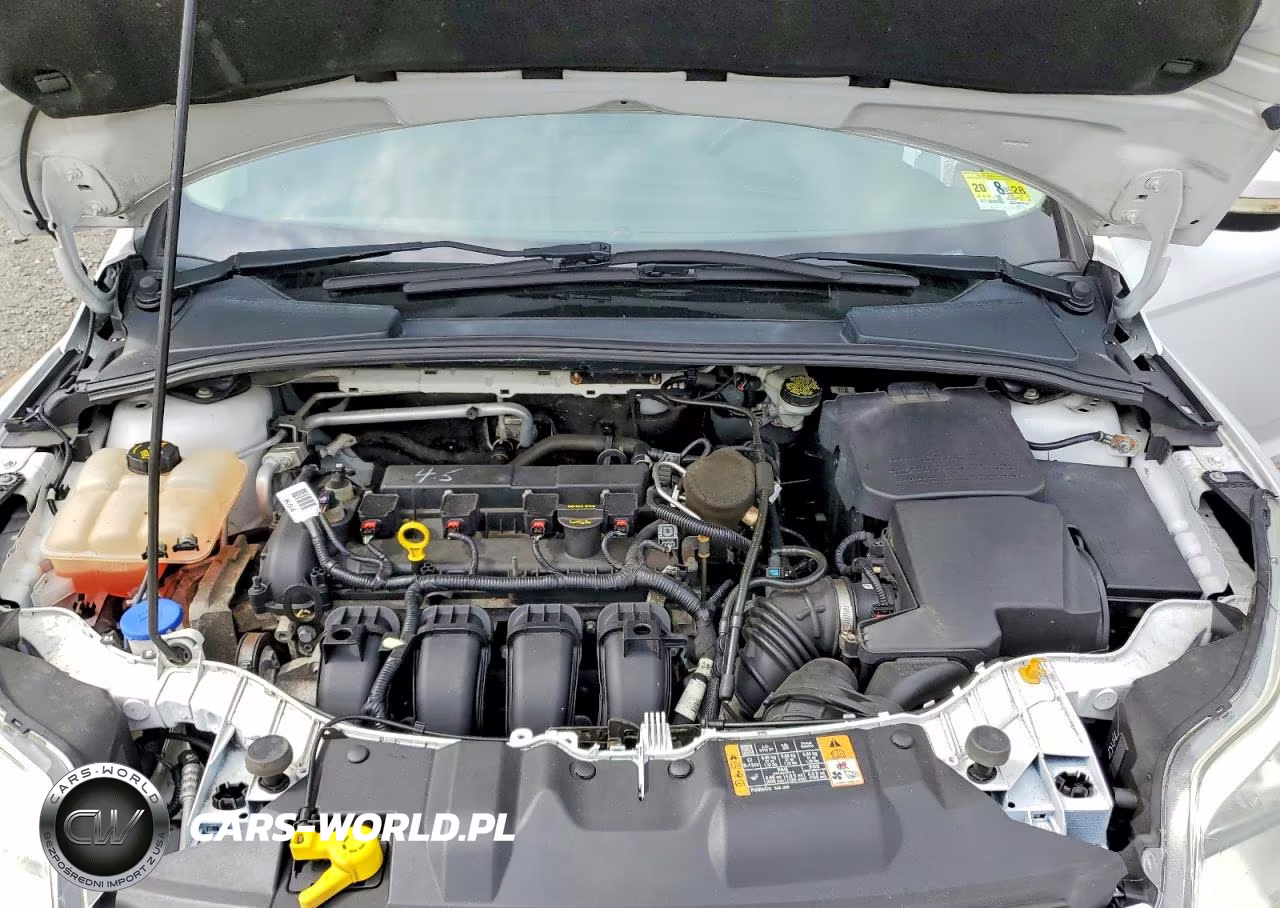 2014 Ford Focus Se VIN:1FADP3F25EL365745 - 11