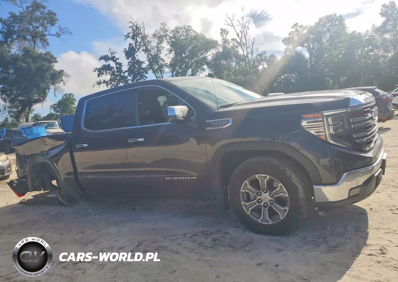 2025 GMC Sierra C1500 Slt VIN:3GTPHDED2SG245178 - 4