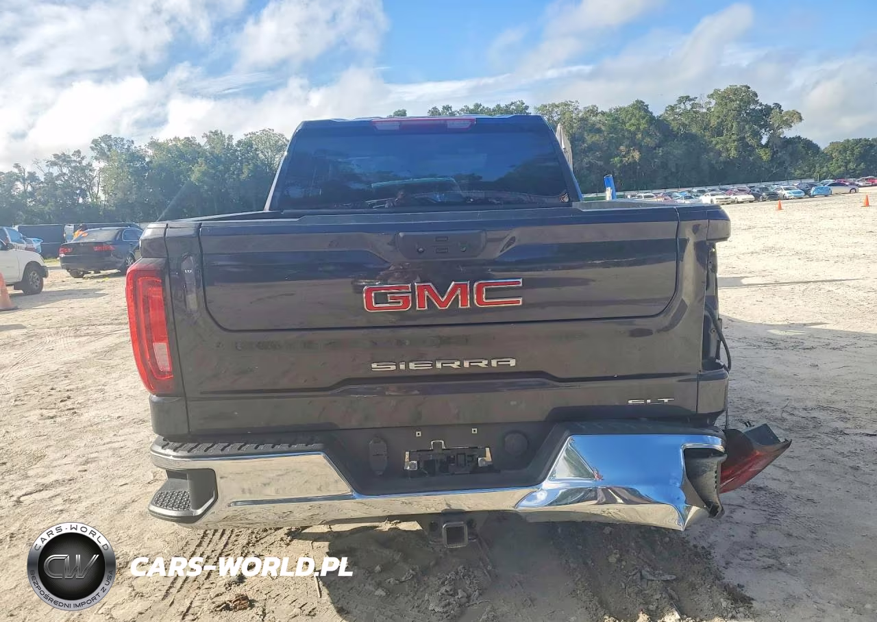 2025 GMC Sierra C1500 Slt VIN:3GTPHDED2SG245178 - 6