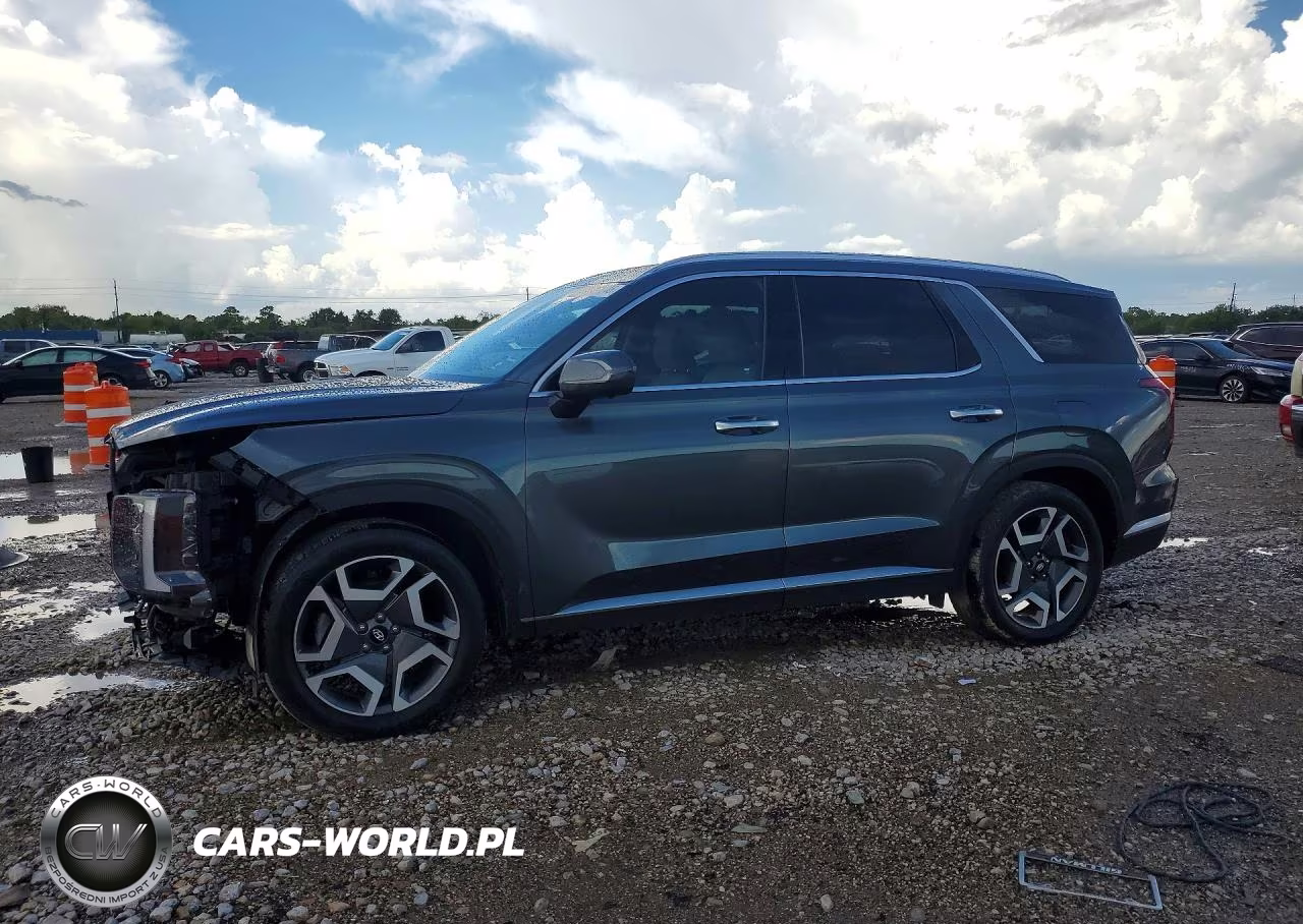 2024 Hyundai Palisade Sel Premium VIN:KM8R4DGE3RU663388 - 1