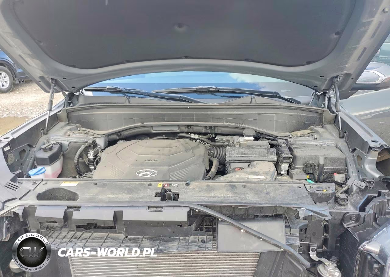 2024 Hyundai Palisade Sel Premium VIN:KM8R4DGE3RU663388 - 11
