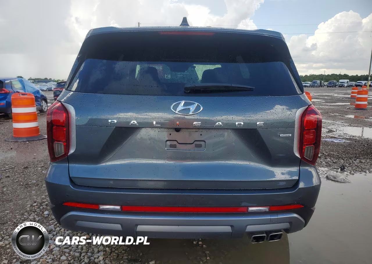 2024 Hyundai Palisade Sel Premium VIN:KM8R4DGE3RU663388 - 6