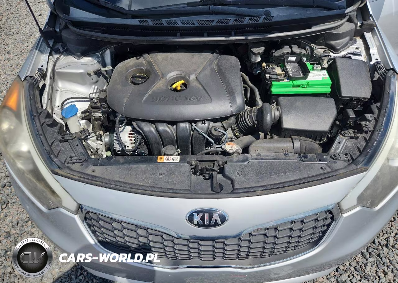 2016 Kia Forte VIN:KNAFK4A6XG5507481 - 11