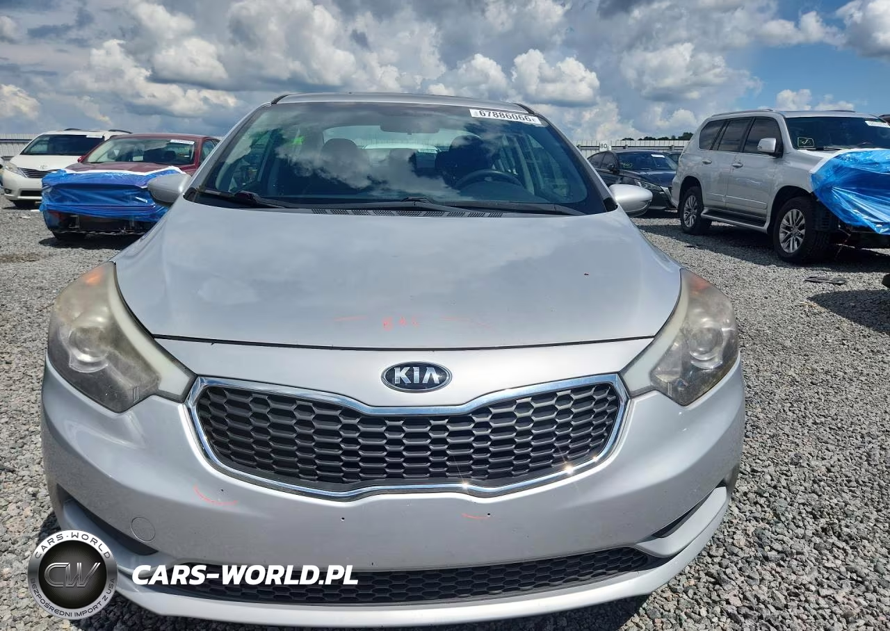 2016 Kia Forte VIN:KNAFK4A6XG5507481 - 5
