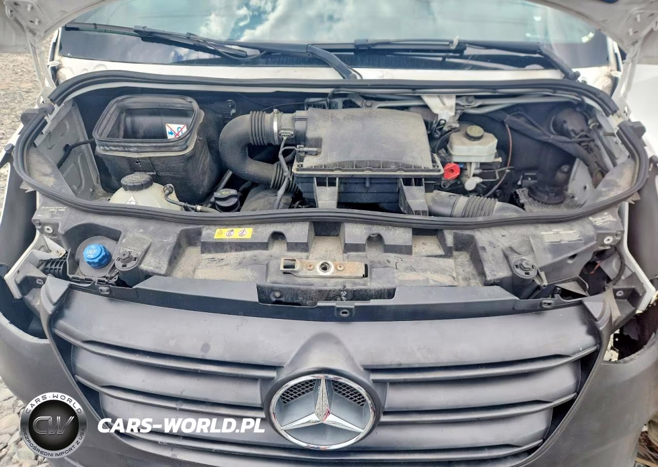 2019 Mercedes-Benz Sprinter 2500-3500 VIN:WD4PF1CD5KP036686 - 12