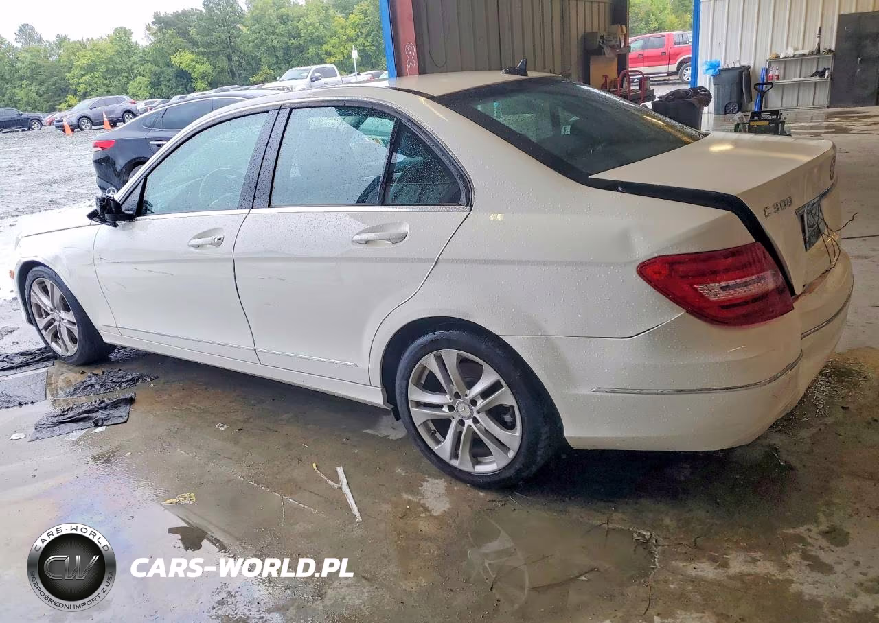 2023 Mercedes-Benz C 300 4Matic VIN:WDDGF8AB8DA829609 - 2