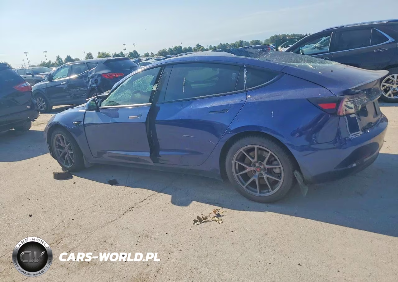 2021 Tesla Model 3 VIN:5YJ3E1EB7MF836829 - 2