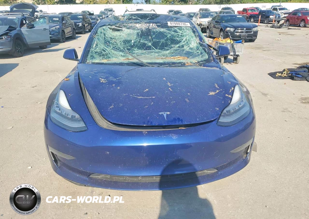 2021 Tesla Model 3 VIN:5YJ3E1EB7MF836829 - 5