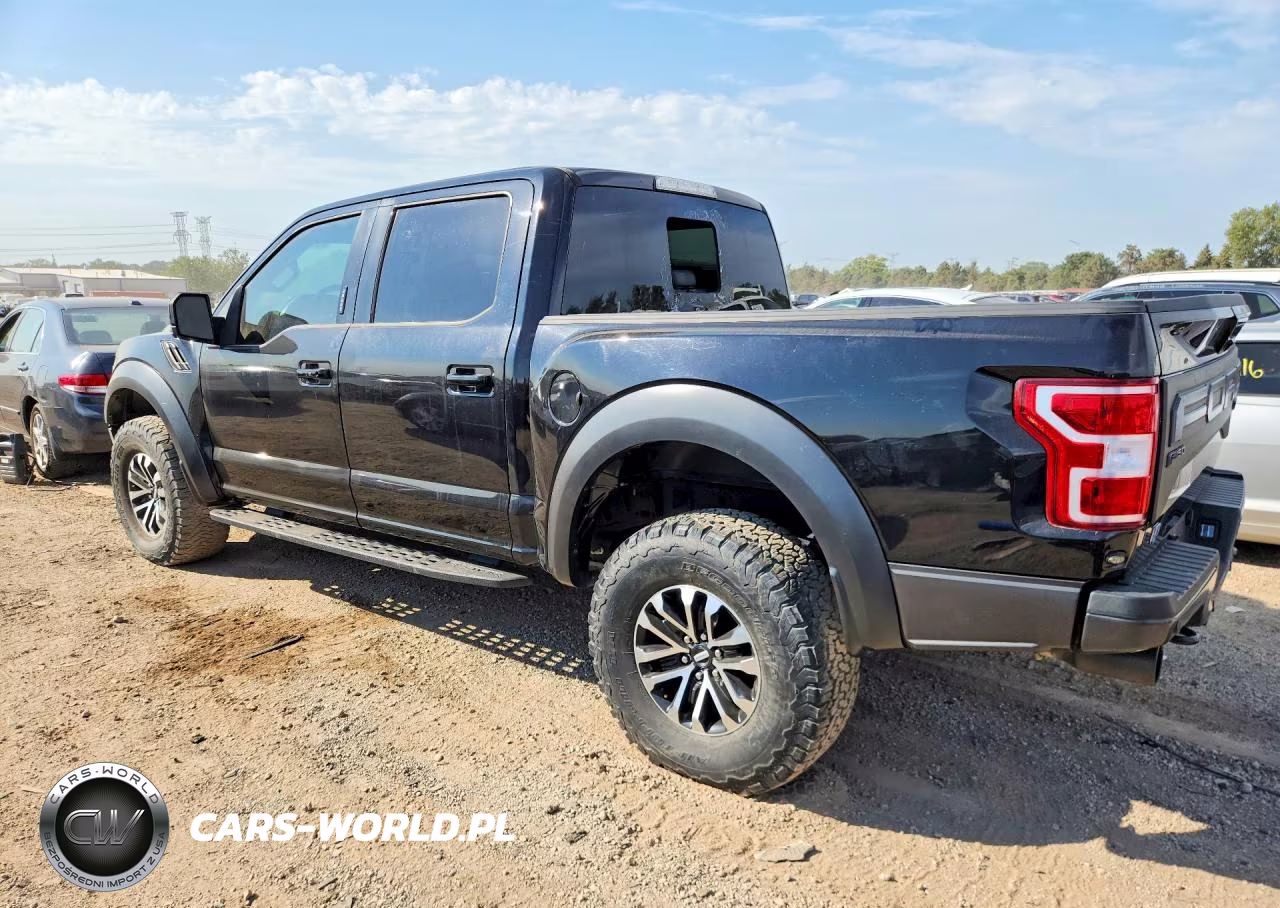 2019 Ford F150 Raptor VIN:1FTFW1RG7KFB28069 - 2