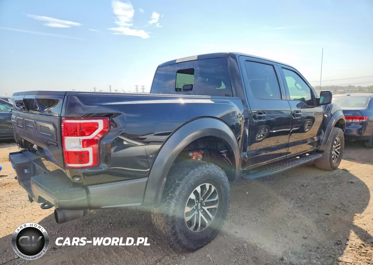 2019 Ford F150 Raptor VIN:1FTFW1RG7KFB28069 - 3