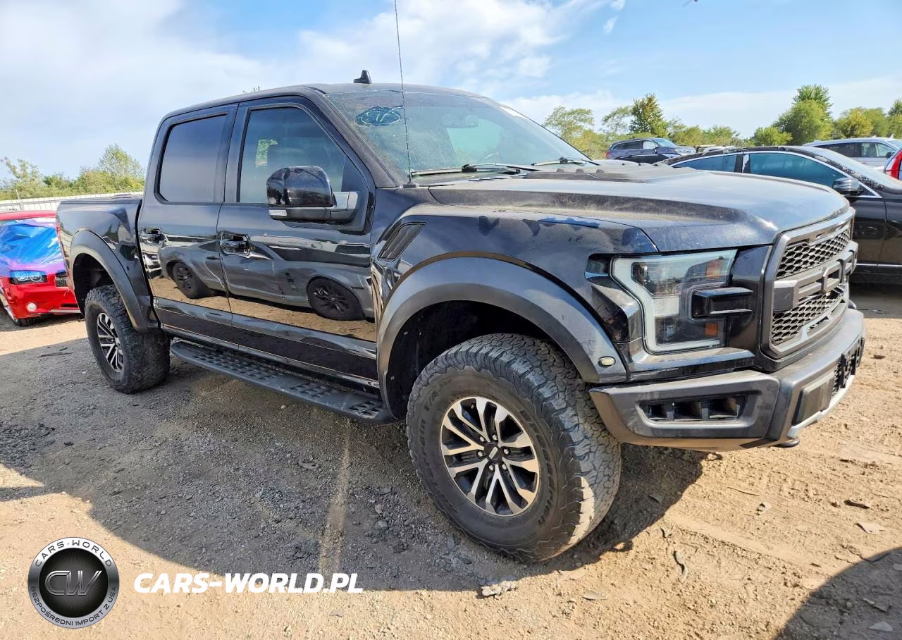 2019 Ford F150 Raptor VIN:1FTFW1RG7KFB28069 - 4