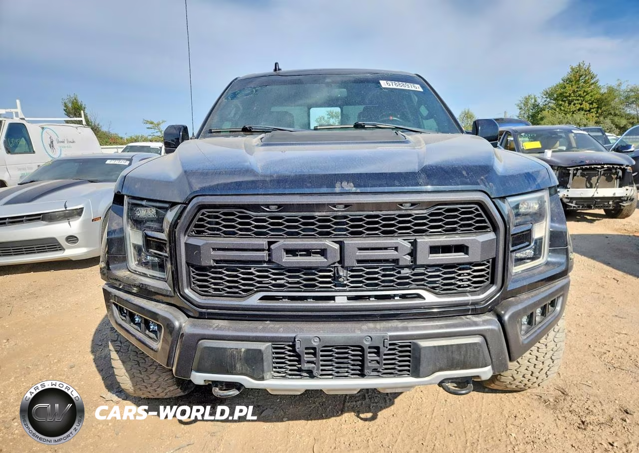 2019 Ford F150 Raptor VIN:1FTFW1RG7KFB28069 - 5