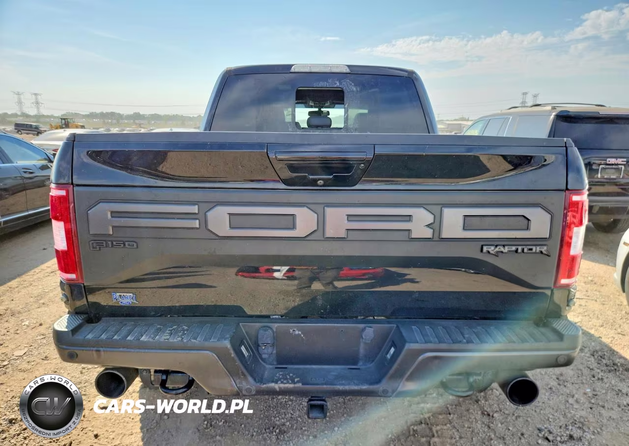 2019 Ford F150 Raptor VIN:1FTFW1RG7KFB28069 - 6