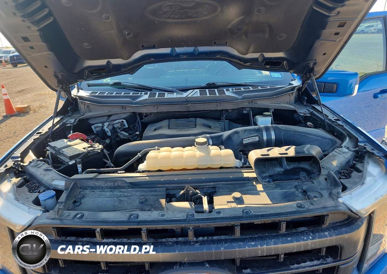 2021 Ford F150 Supercrew VIN:1FTFW1E85MKE88062 - 11