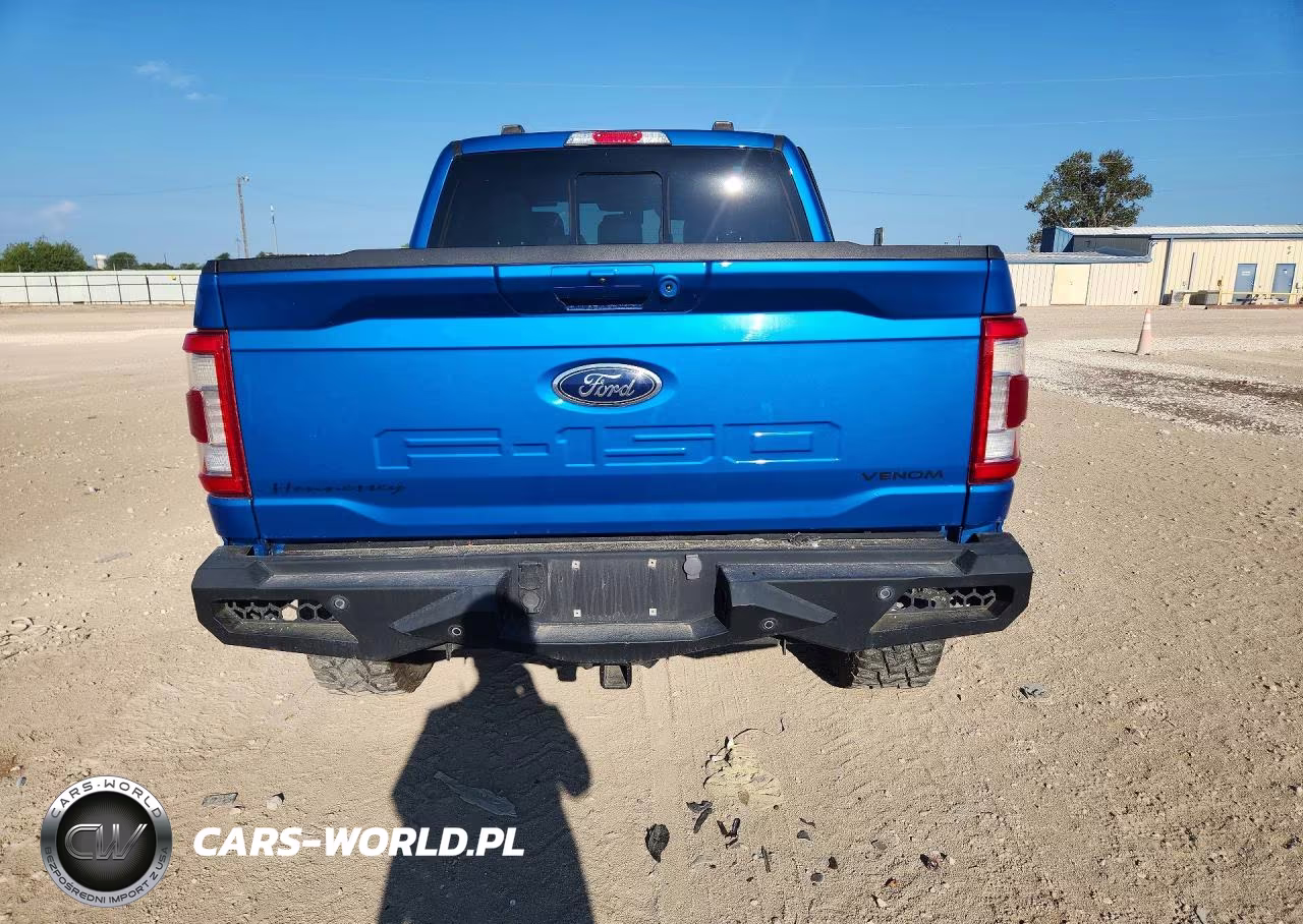 2021 Ford F150 Supercrew VIN:1FTFW1E85MKE88062 - 6