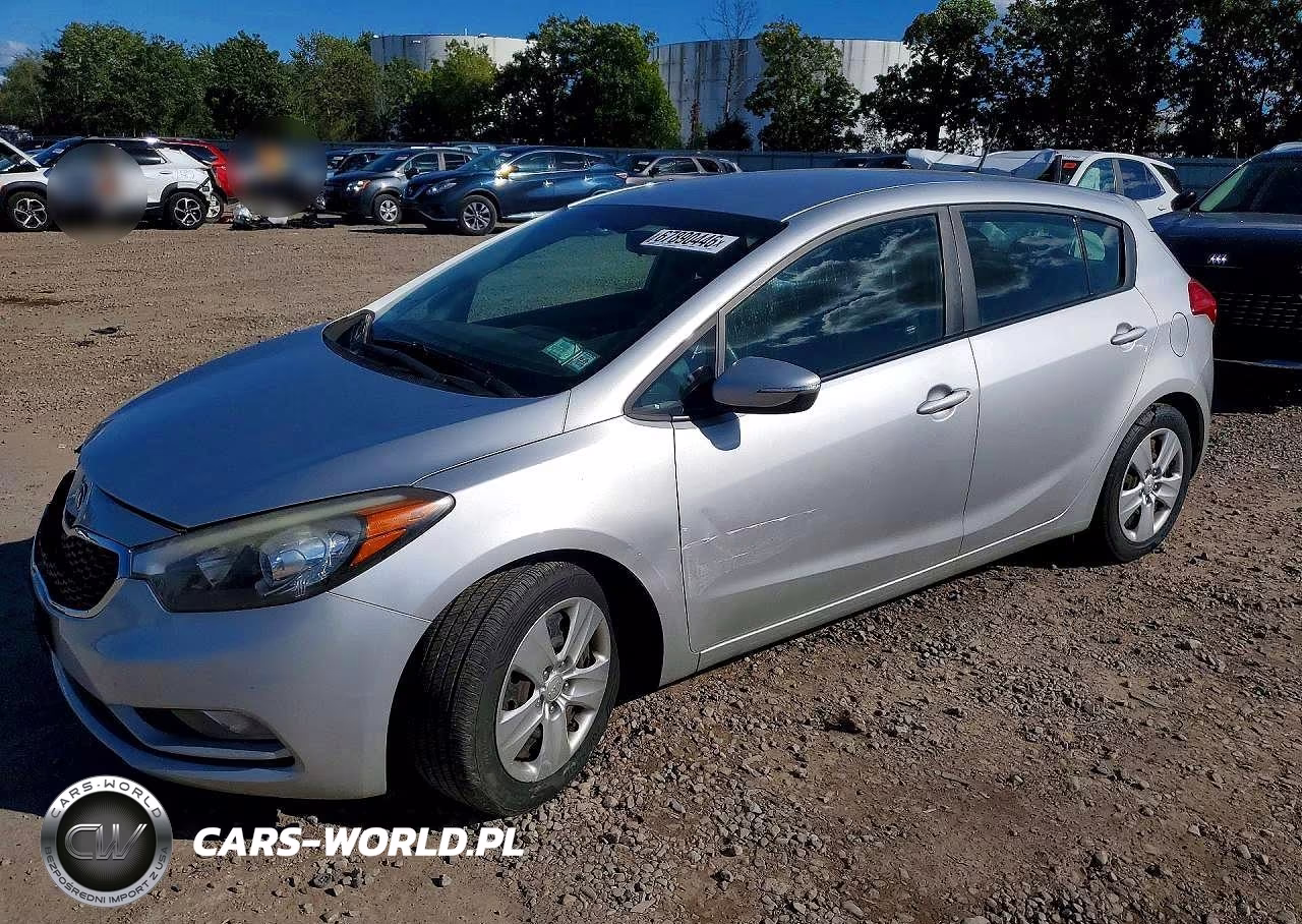 2016 Kia Forte5 Lx VIN:KNAFK5A80G5547866 - 1