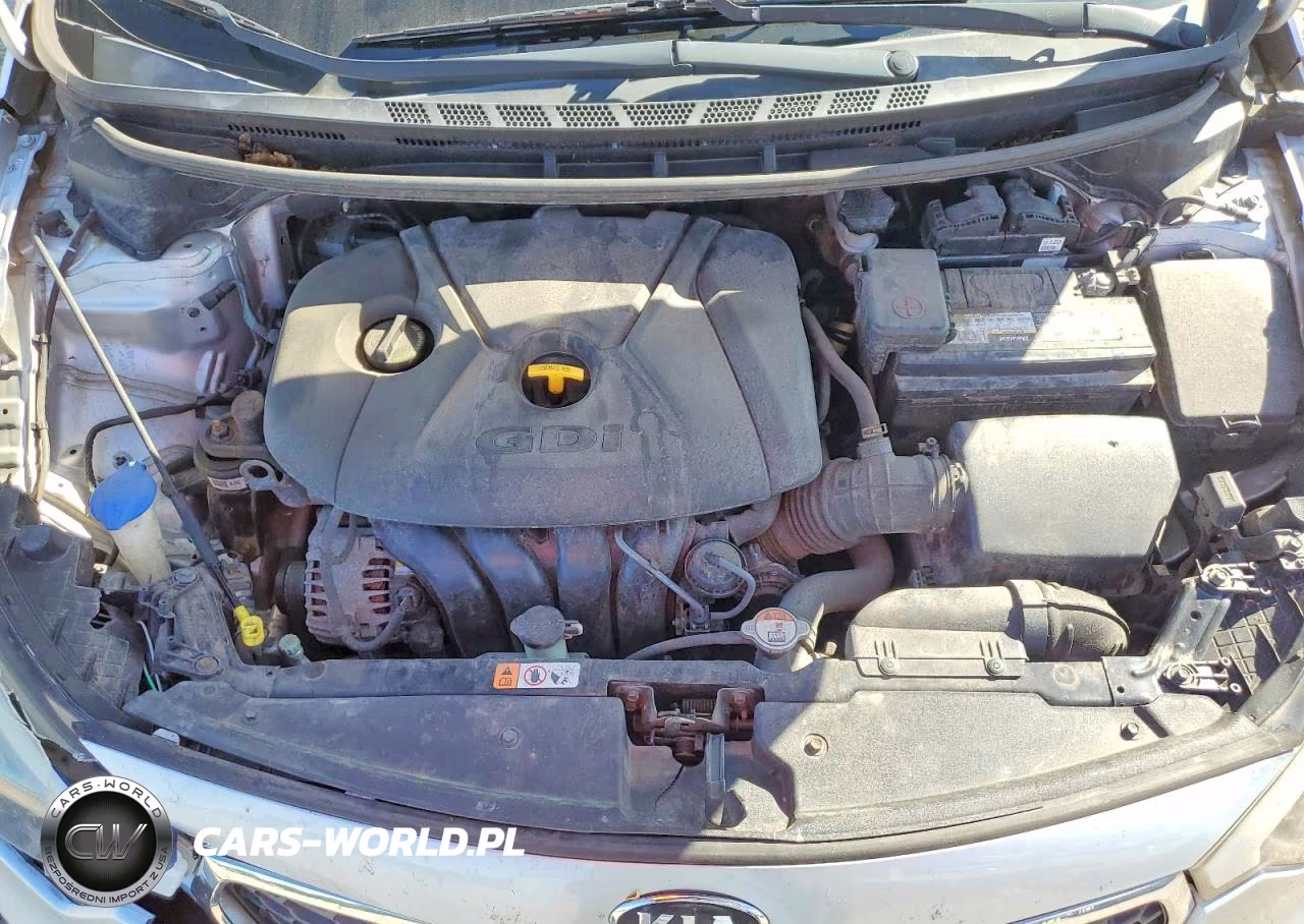 2016 Kia Forte5 Lx VIN:KNAFK5A80G5547866 - 11