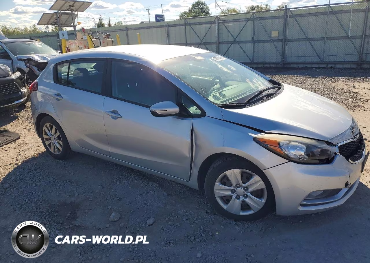 2016 Kia Forte5 Lx VIN:KNAFK5A80G5547866 - 4