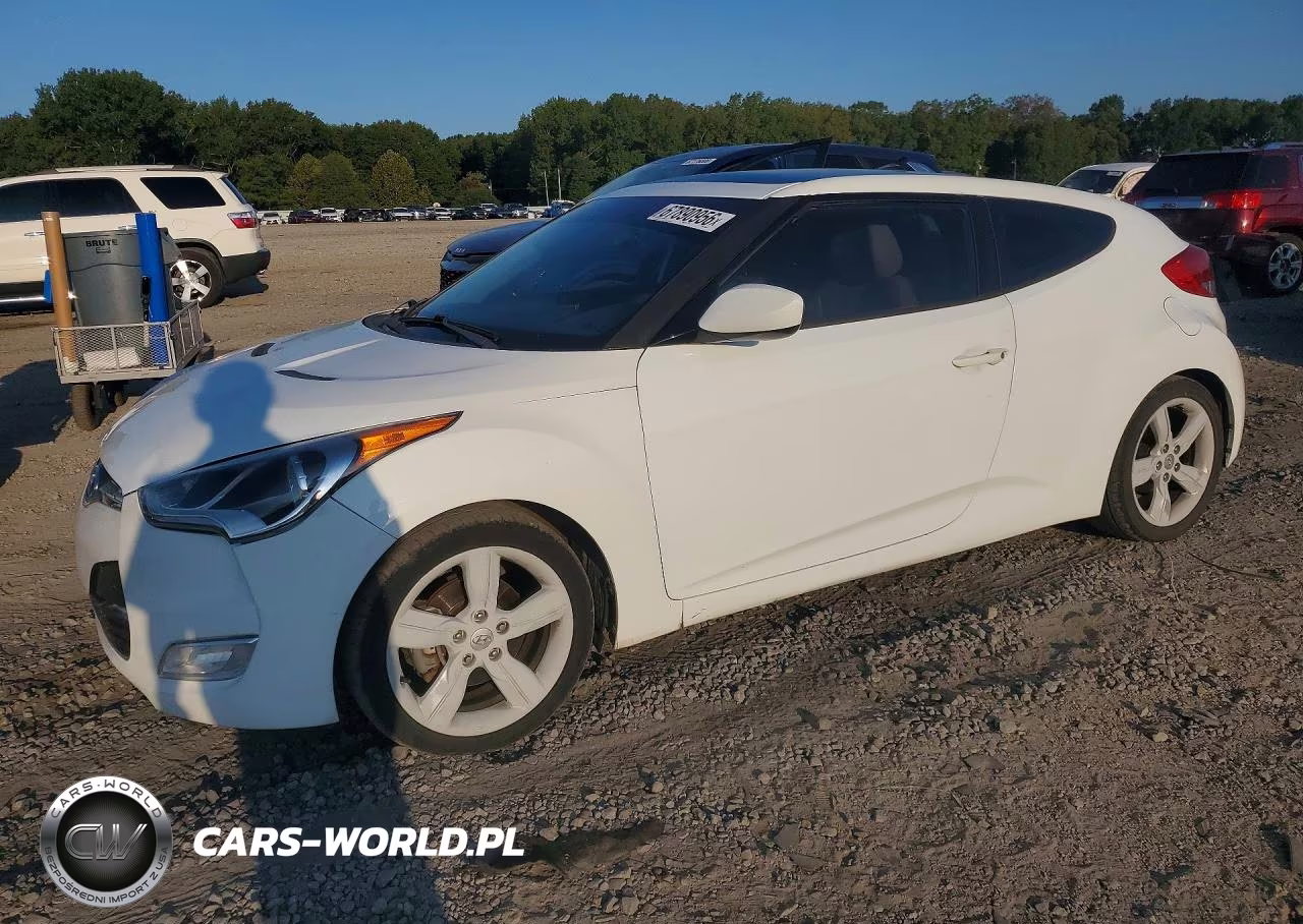 2014 Hyundai Veloster Base VIN:KMHTC6AD0EU198597 - 1