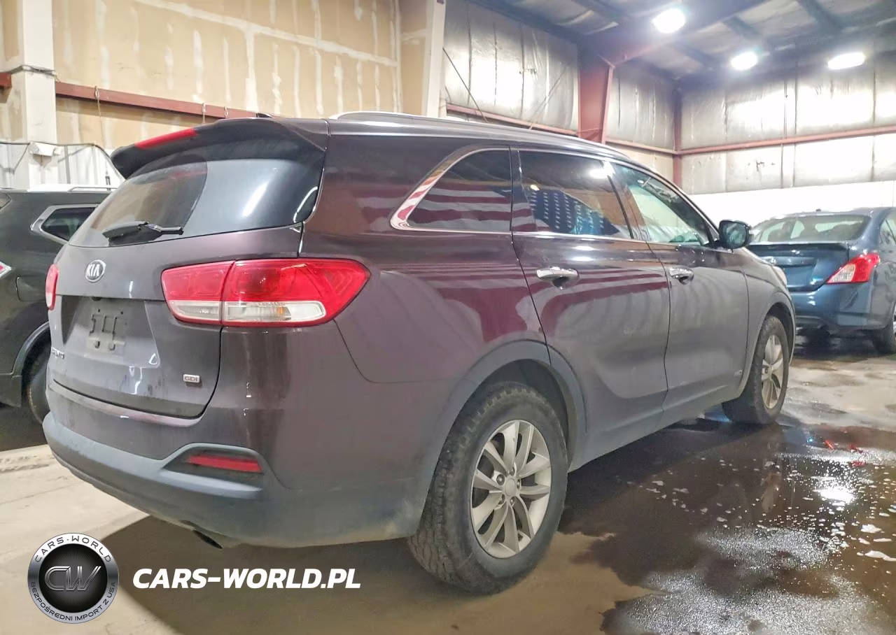 2016 Kia Sorento Lx VIN:5XYPGDA31GG046354 - 3