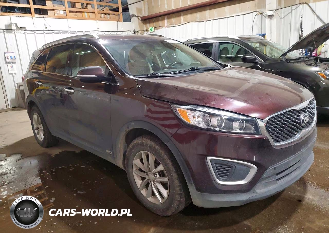 2016 Kia Sorento Lx VIN:5XYPGDA31GG046354 - 4