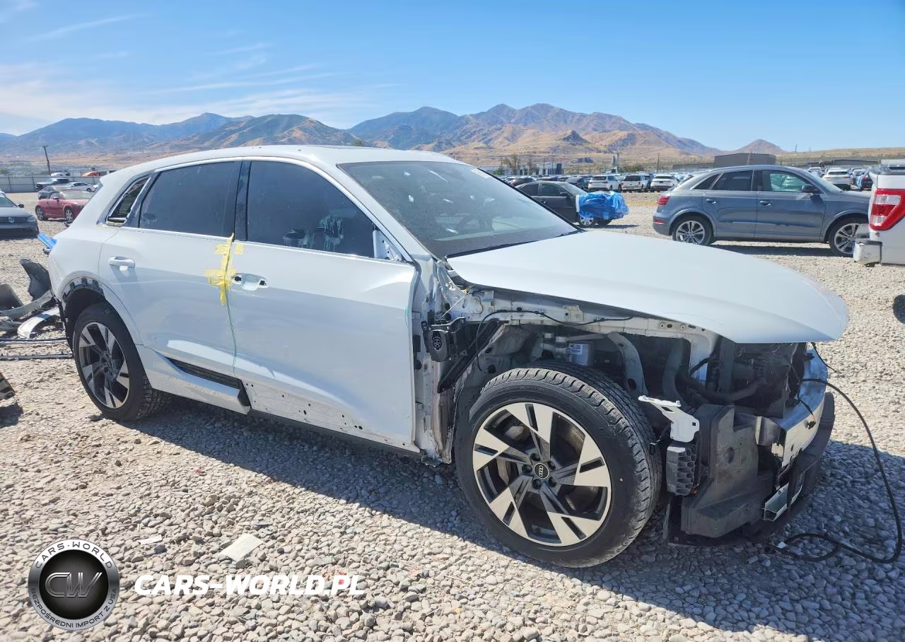 2021 Audi E-Tron Premium Plus VIN:WA1LABGE4MB011014 - 4