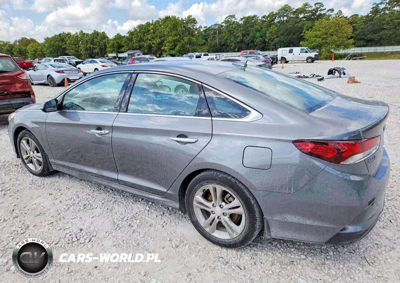 2019 Hyundai Sonata Limited VIN:5NPE34AFXKH808031 - 2