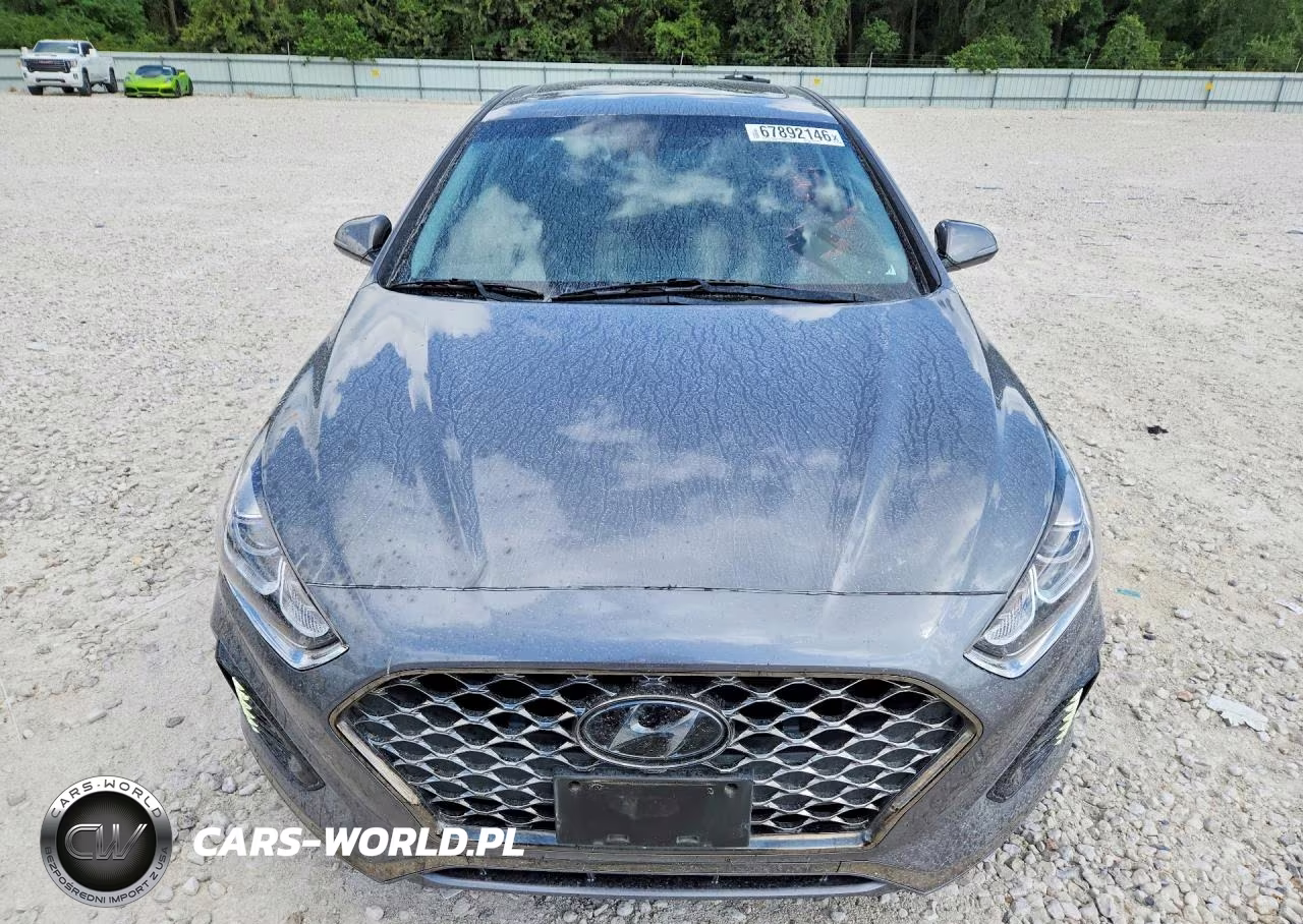 2019 Hyundai Sonata Limited VIN:5NPE34AFXKH808031 - 5