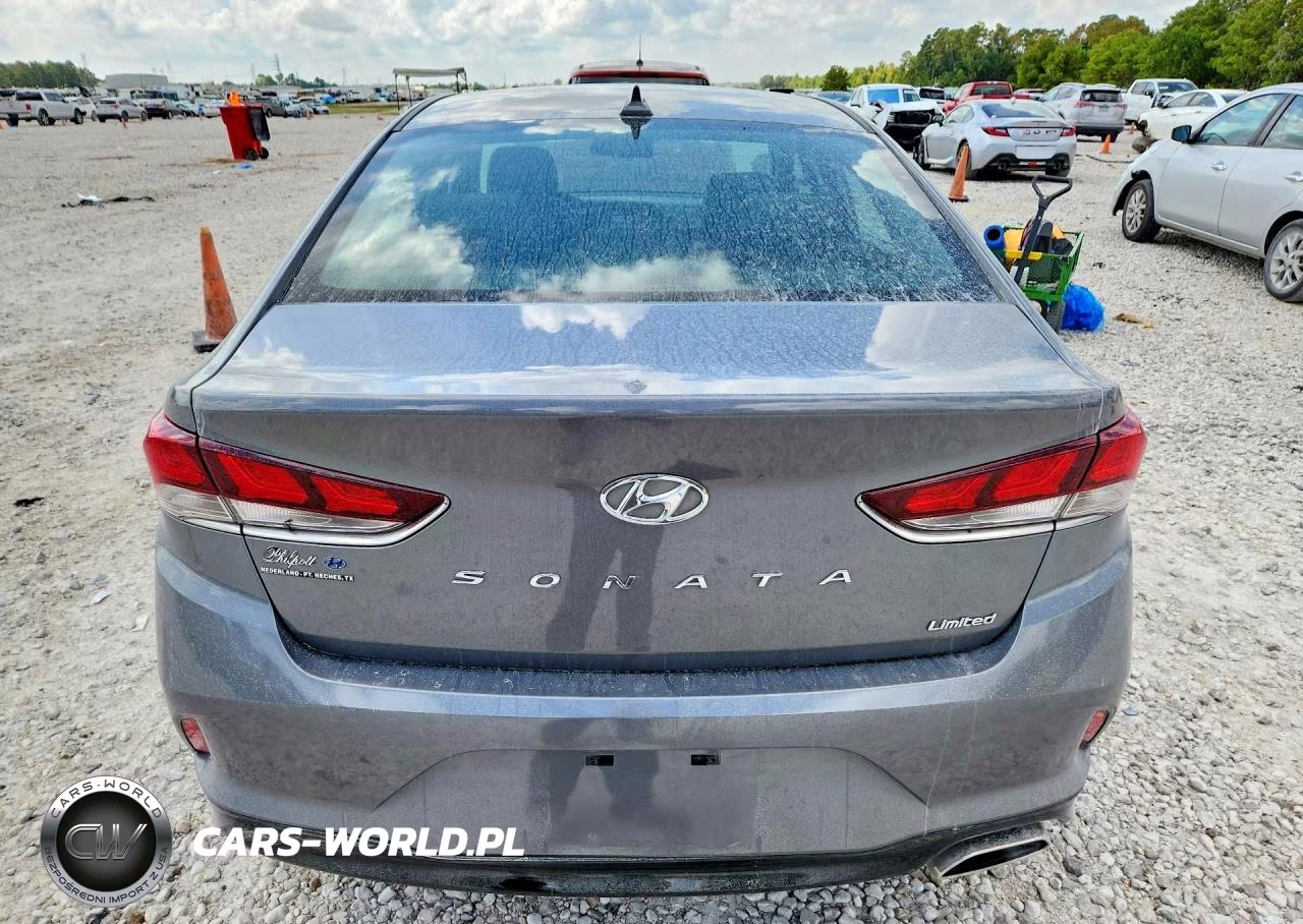 2019 Hyundai Sonata Limited VIN:5NPE34AFXKH808031 - 6