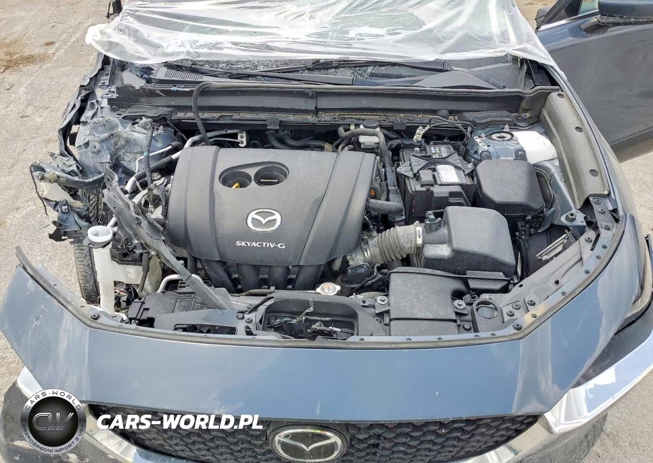 2021 Mazda Cx-30 Premium VIN:3MVDMBDL3MM252218 - 12