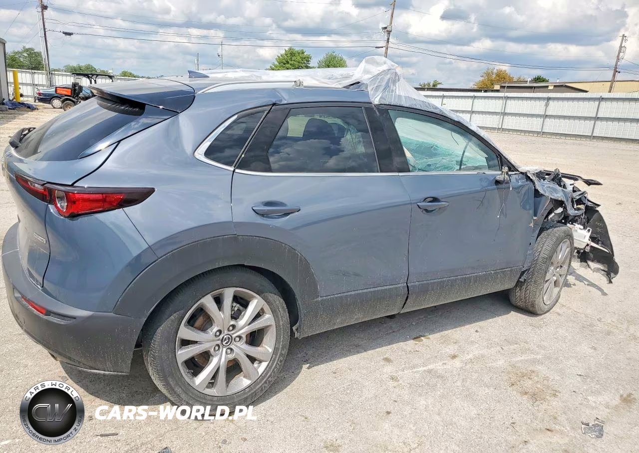 2021 Mazda Cx-30 Premium VIN:3MVDMBDL3MM252218 - 3