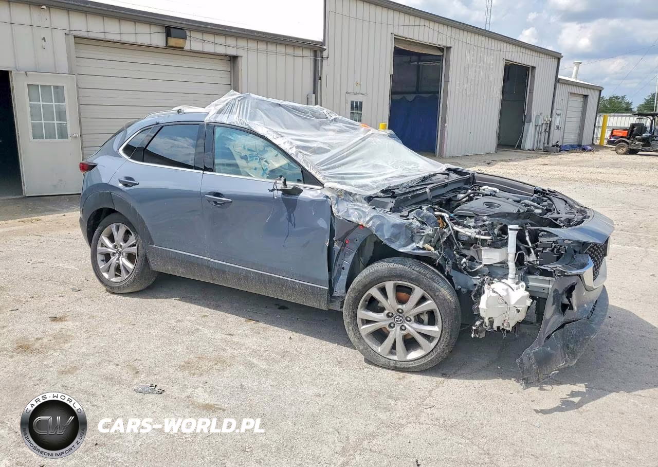 2021 Mazda Cx-30 Premium VIN:3MVDMBDL3MM252218 - 4