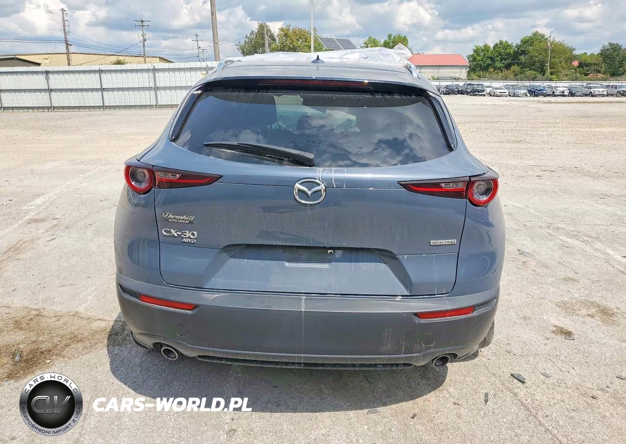 2021 Mazda Cx-30 Premium VIN:3MVDMBDL3MM252218 - 6