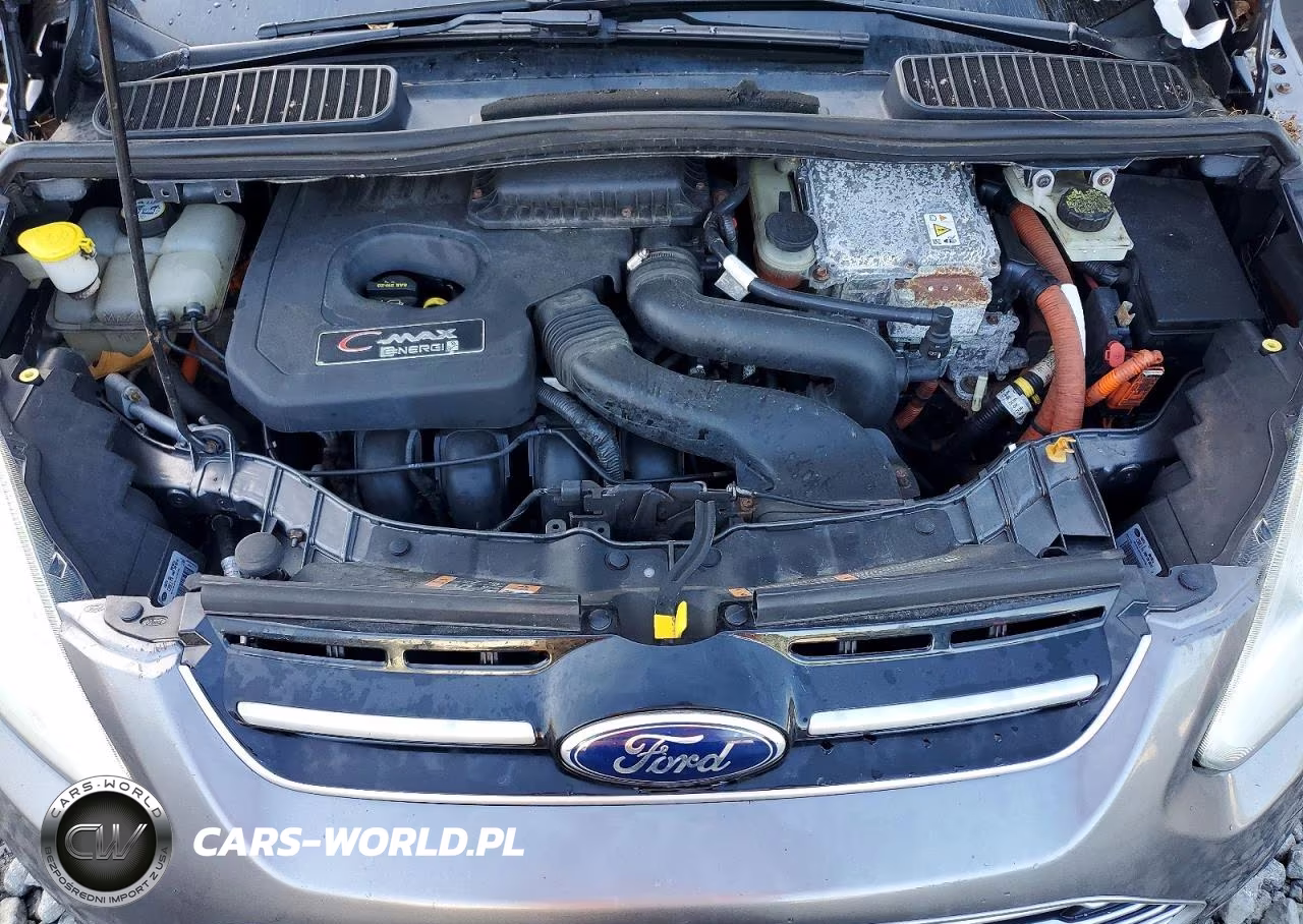 2013 Ford C-Max Premium VIN:1FADP5CU2DL524141 - 12