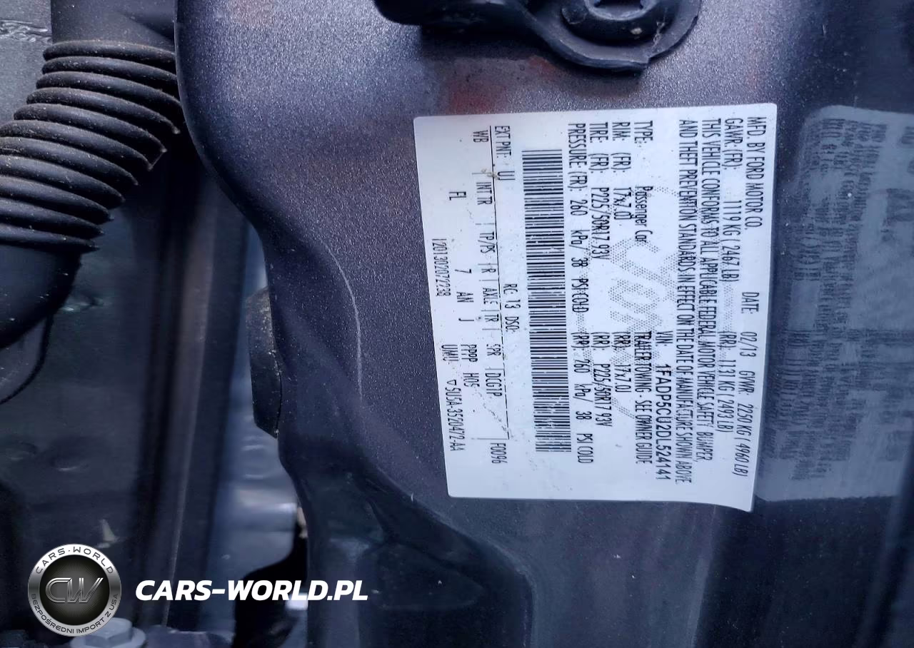 2013 Ford C-Max Premium VIN:1FADP5CU2DL524141 - 13